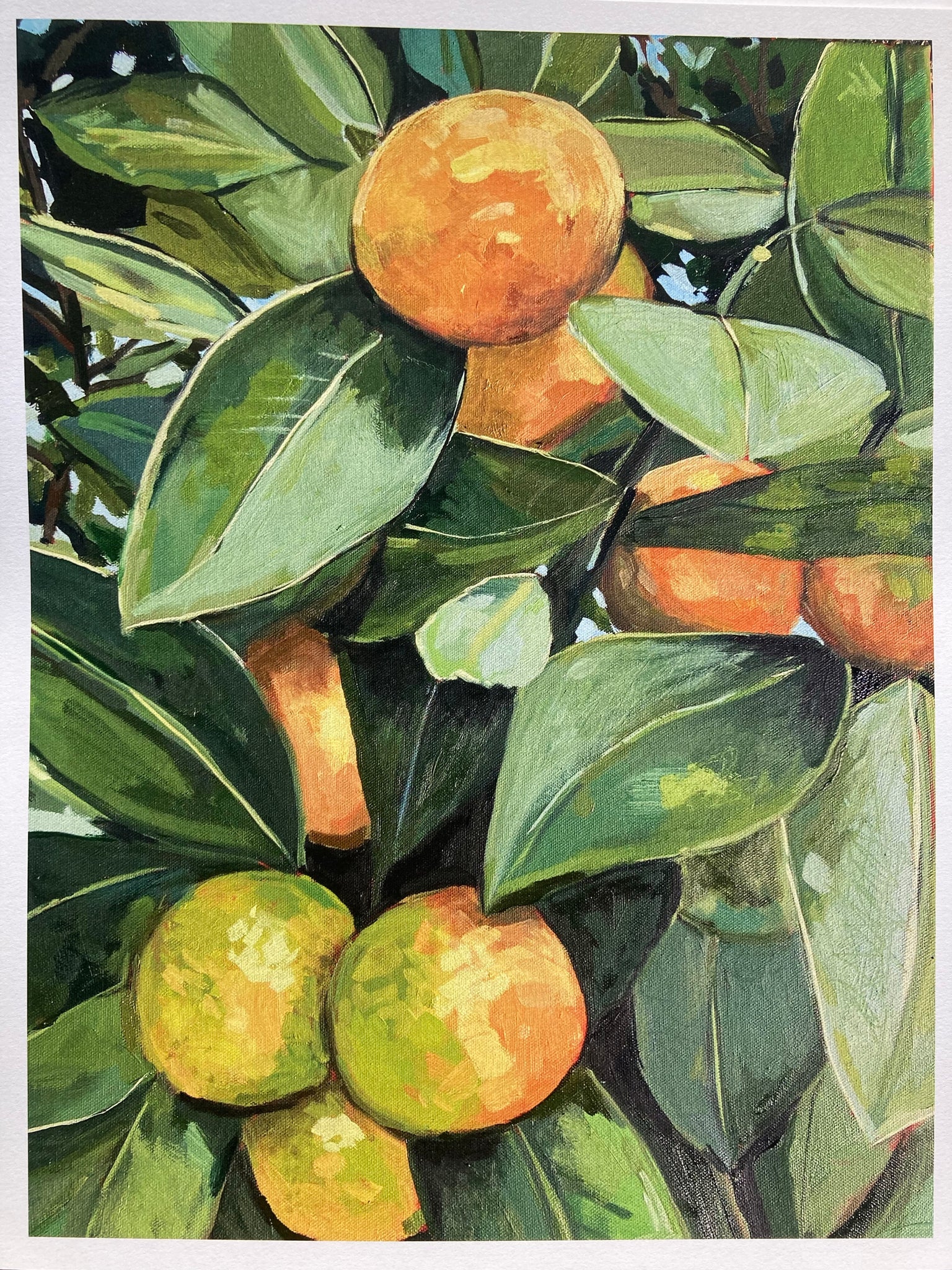 Kumquat Tree Print